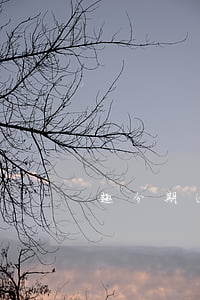 趣分期逾期不能下单了(趣分期是不是下架了)