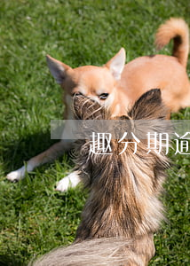 趣分期逾期說早起訴(趣分期真的假的)