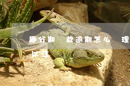 趣分期還款逾期怎么處理 趣分期還完款后可以注銷嗎