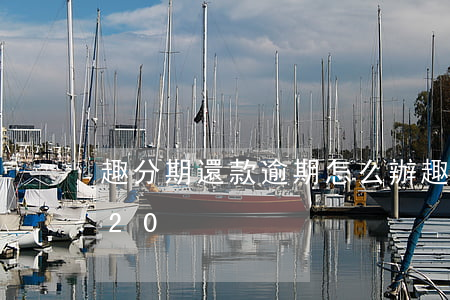 趣分期還款逾期怎么辦(趣分期怎么還款2020)