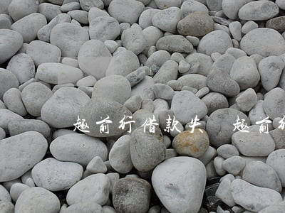 趣前行借款失?。ㄈで靶薪桢X逾期2天）