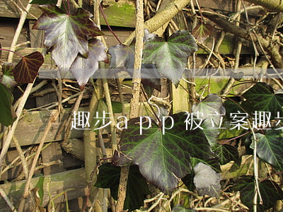 趣步app被立案(趣步是合法的嗎最新消息)