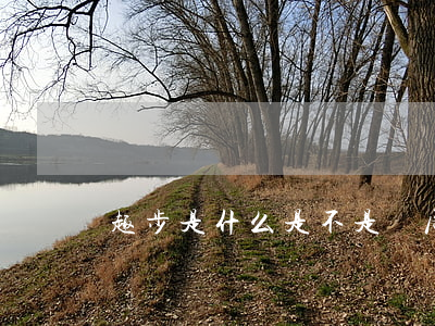 趣步是什么是不是騙局(趣步是真的嗎)