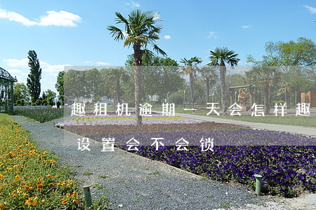 趣租机逾期一天会怎样（趣租机逾期恢复出厂设置会不会锁）