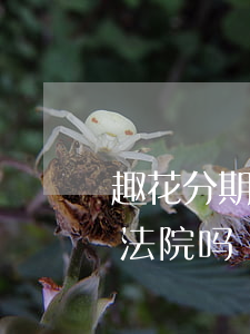 趣花分期是不是倒闭了（趣花分期逾期会起诉法院吗）