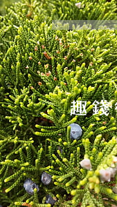 趣錢行逾期了怎么辦(趣錢行逾期了怎么辦)
