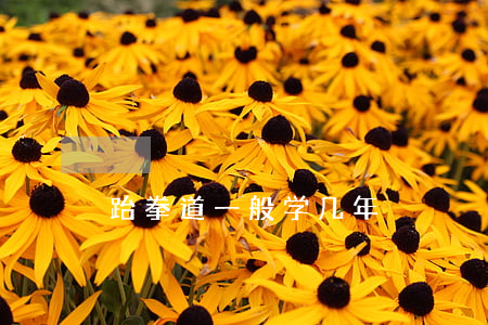 跆拳道一般学几年