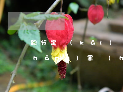 跑分定開(kāi)設(shè)賭場(chǎng)罪會(huì)不會(huì)不起訴(開(kāi)設(shè)賭場(chǎng)罪怎么判罰款多少)