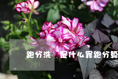 跑分洗錢是什么罪(跑分算洗錢罪嗎)