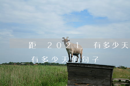 距離2021還有多少天-距離2021還有多少天的句子