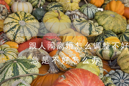 跟人闹离婚怎么调整不好的情绪(离婚了心情总是不好怎么办)