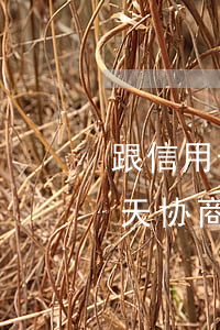 跟信用卡协商成功后又逾期了（信用卡逾期几天协商还款）