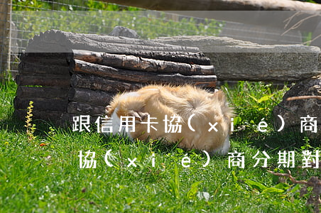 跟信用卡協(xié)商分期對話 跟信用卡協(xié)商分期對話