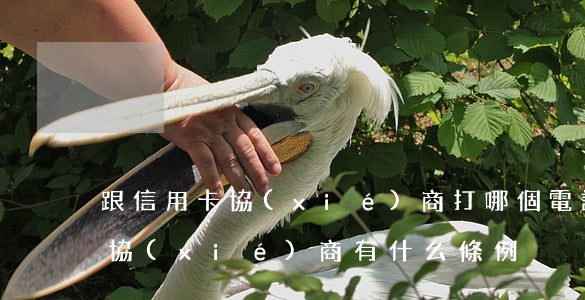 跟信用卡協(xié)商打哪個電話（信用卡協(xié)商有什么條例）