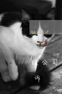 跟公司同事借钱被起诉 跟公司同事借钱被起诉