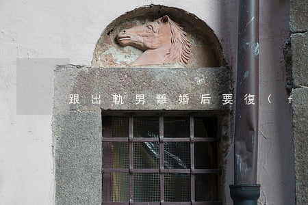 跟出軌男離婚后要復(fù)婚嗎