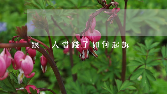 跟別人借錢了如何起訴