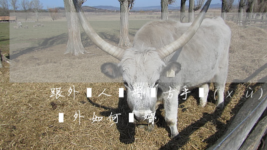 跟外國人離婚單方手續(xù)怎么做(人在國外如何離婚)