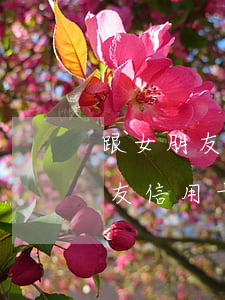 跟女朋友說(shuō)信用卡逾期了(男朋友信用卡逾期不還,女方有義務(wù)還嗎)