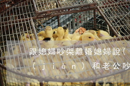 跟媳婦吵架離婚媳婦說(shuō)不想見(jiàn)(和老公吵架了不想看到他想和他離婚怎么辦)
