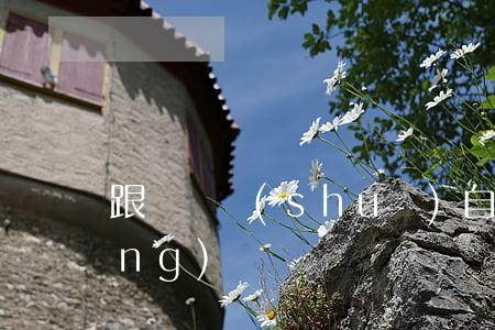 跟媽媽說(shuō)自己欠5w網(wǎng)貸