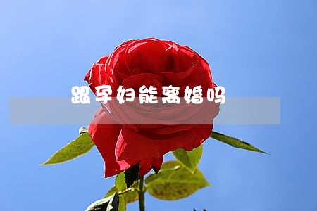 跟孕妇能离婚吗