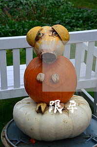 跟孕婦能離婚嗎