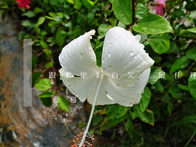 跟家里坦白欠債最佳理由-哪里可以借5萬慢慢還