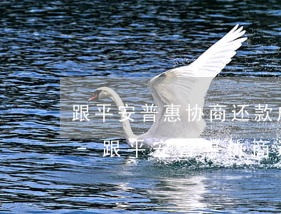 跟平安普惠协商还款成功之后需要什么手续-跟平安普惠协商还款成功之后需要什么手续