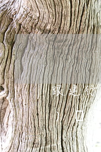 跟建行信用卡有糾紛如何處理(建設(shè)銀行信用卡逾期被起訴立案后怎么解決)