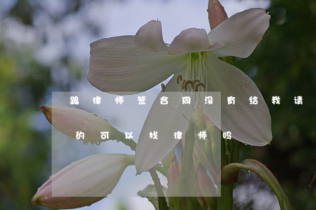 跟律师签合同没有给我(请问一下没有写合同的可以找律师吗)