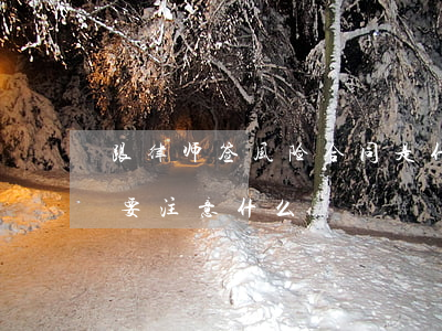 跟律师签风险合同是什么意思(和律师签合同要注意什么)