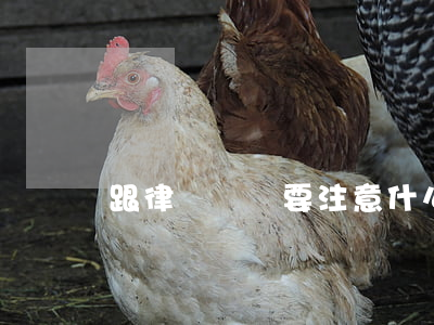 跟律師說話要注意什么(怎么和律師交談)