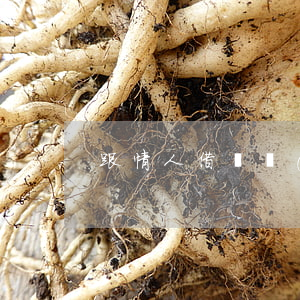 跟情人借錢會(huì)被起訴嗎