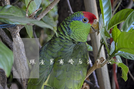 跟渣男离婚后该怎么办