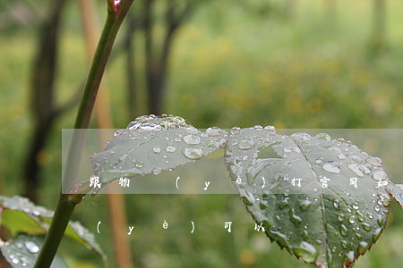 跟物業(yè)打官司如何勝訴(怎么告物業(yè)可以勝訴)