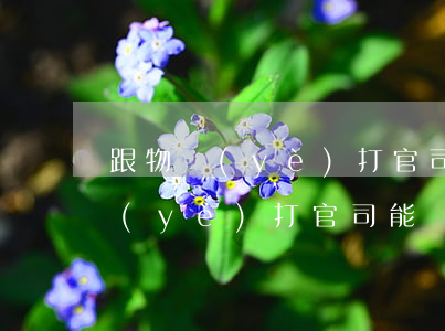 跟物業(yè)打官司如何勝訴(怎樣跟物業(yè)打官司能贏)