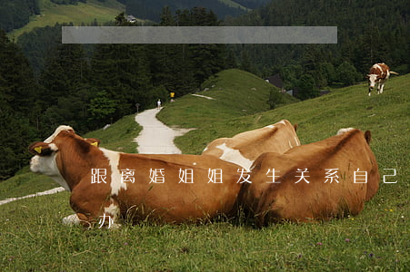 跟离婚姐姐发生关系(自己的姐姐要离婚怎么办)