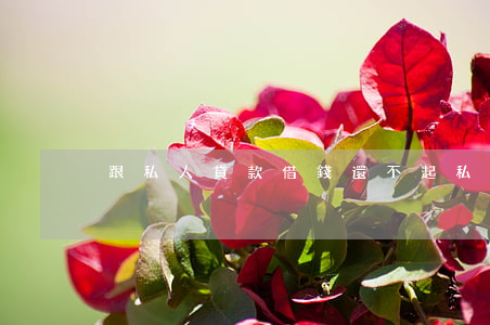 跟私人貸款借錢還不起(私人借款還不上)
