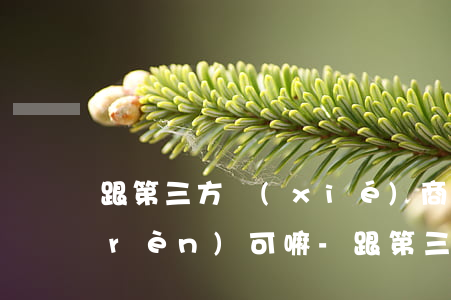 跟第三方協(xié)商還款金額銀行認(rèn)可嘛-跟第三方協(xié)商還款金額銀行認(rèn)可嘛是真的嗎