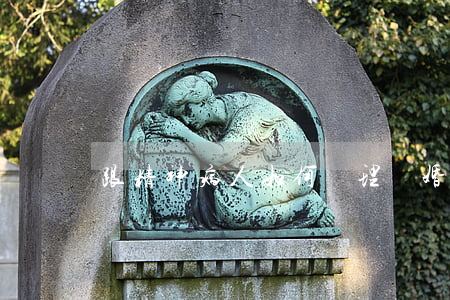 跟精神病人如何辦理離婚