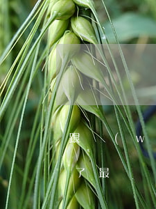 跟網(wǎng)貸客服申請(qǐng)了最遲幾點(diǎn)還款-跟網(wǎng)貸客服申請(qǐng)了最遲幾點(diǎn)還款呢