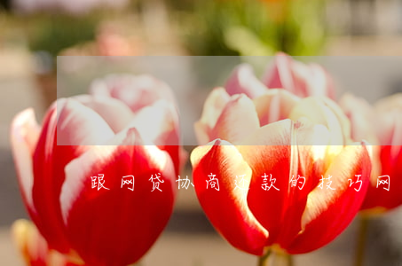 跟网贷协商还款的技巧(网贷如何协商)