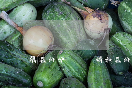 跟老公分開沒離婚(和老公各過各的不離婚)