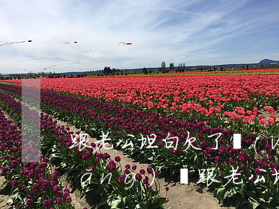 跟老公坦白欠了網(wǎng)貸(借網(wǎng)貸跟老公坦白后被冷漠)