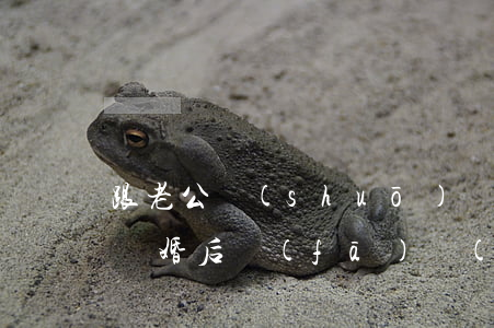 跟老公說(shuō)離婚后有孩子怎么辦(離婚后發(fā)現(xiàn)老公和別人有孩子了)