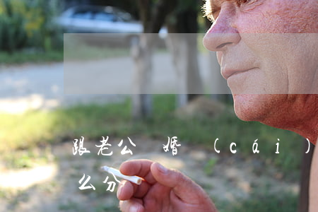 跟老公離婚財(cái)產(chǎn)怎么分