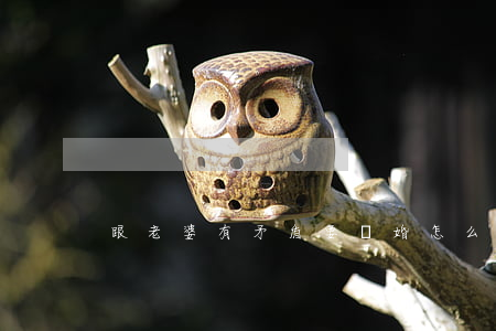 跟老婆有矛盾要離婚怎么辦