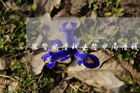 跟警察借钱(去警察局借钱能借到吗)
