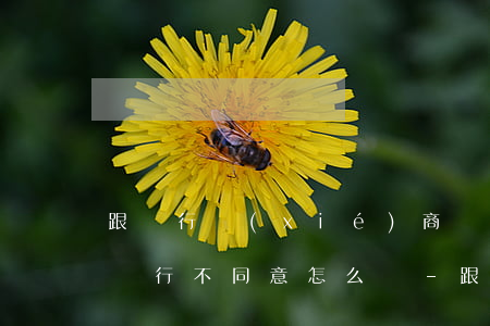 跟銀行協(xié)商個(gè)性化分期銀行不同意怎么辦-跟銀行協(xié)商個(gè)性化分期銀行不同意怎么辦